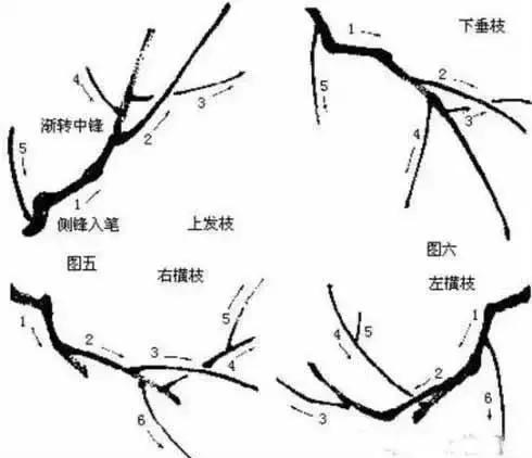 国画初学者入门步骤画梅花（大家一起学学国画梅花的各种画法）(5)