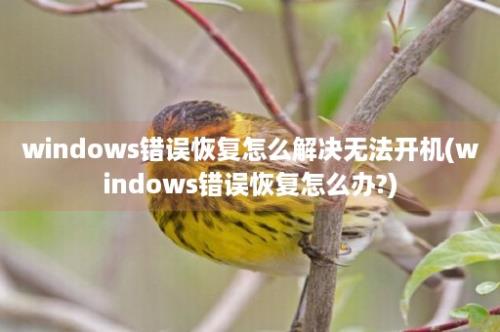 windows错误恢复怎么解决无法开机(windows错误恢复怎么办?)