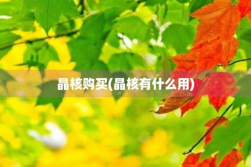 晶核购买(晶核有什么用)