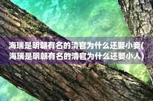 海瑞是明朝有名的清官为什么还娶小妾(海瑞是明朝有名的清官为什么还娶小人)