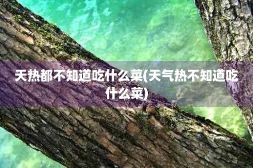 天热都不知道吃什么菜(天气热不知道吃什么菜)