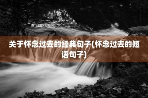 关于怀念过去的经典句子(怀念过去的短语句子)