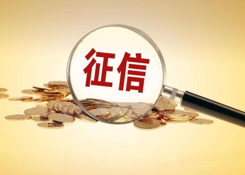 征信不良的情况有哪些
