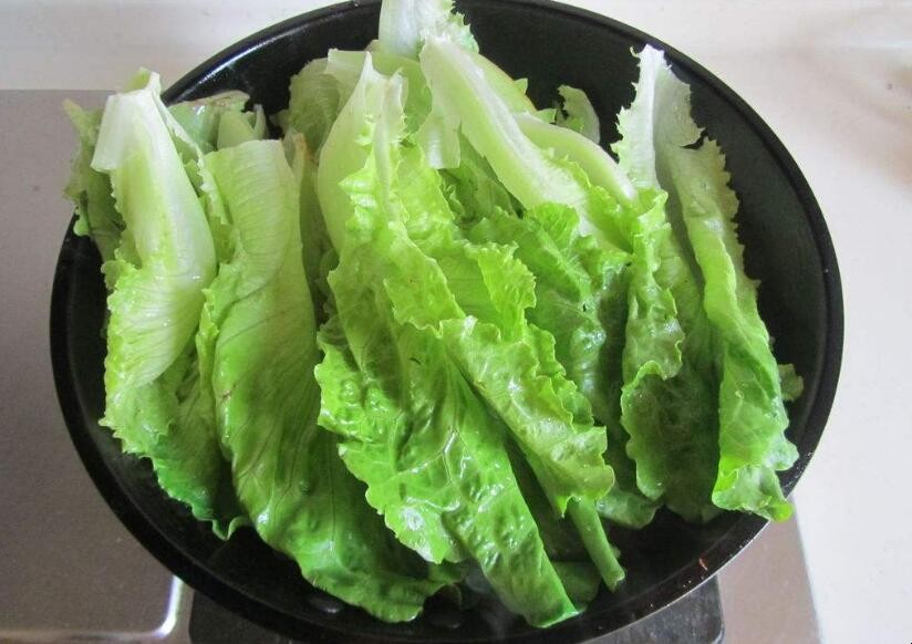 生菜