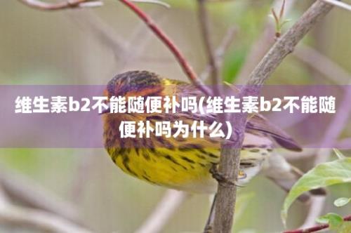 维生素b2不能随便补吗(维生素b2不能随便补吗为什么)