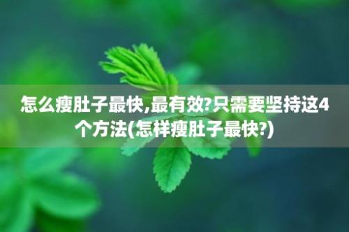 怎么瘦肚子最快,最有效?只需要坚持这4个方法(怎样瘦肚子最快?)