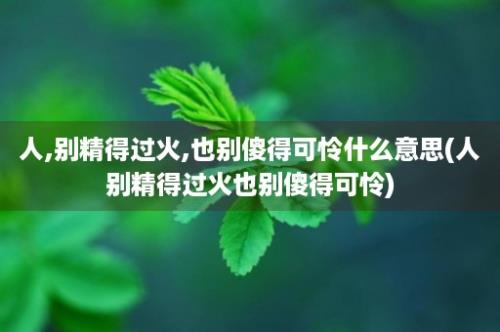 人,别精得过火,也别傻得可怜什么意思(人别精得过火也别傻得可怜)