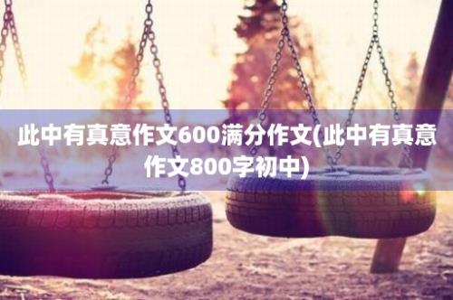 此中有真意作文600满分作文(此中有真意作文800字初中)