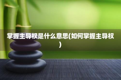 掌握主导权是什么意思(如何掌握主导权)