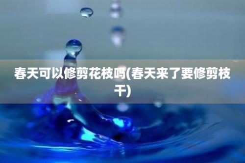 春天可以修剪花枝吗(春天来了要修剪枝干)