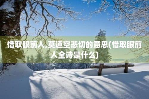 惜取眼前人,莫道空悲切的意思(惜取眼前人全诗是什么)