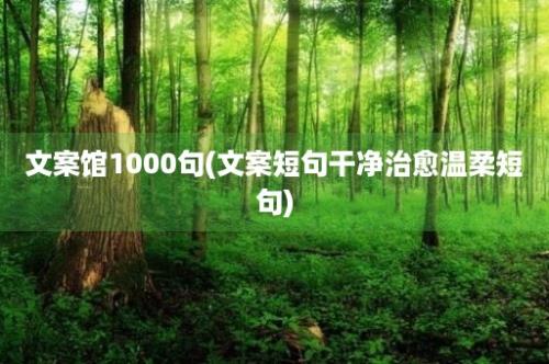 文案馆1000句(文案短句干净治愈温柔短句)