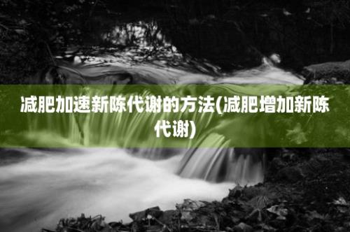 减肥加速新陈代谢的方法(减肥增加新陈代谢)