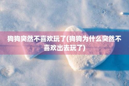 狗狗突然不喜欢玩了(狗狗为什么突然不喜欢出去玩了)