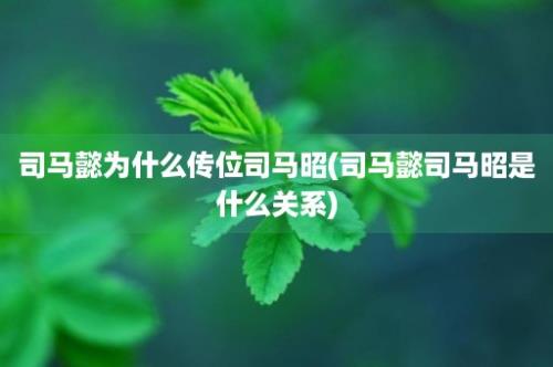 司马懿为什么传位司马昭(司马懿司马昭是什么关系)