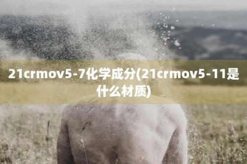 21crmov5-7化学成分(21crmov5-11是什么材质)