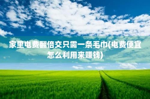 家里电费翻倍交只需一条毛巾(电费便宜怎么利用来赚钱)