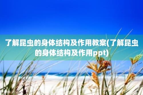 了解昆虫的身体结构及作用教案(了解昆虫的身体结构及作用ppt)