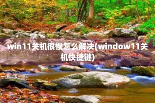 win11关机很慢怎么解决(window11关机快捷键)