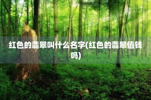 红色的翡翠叫什么名字(红色的翡翠值钱吗)