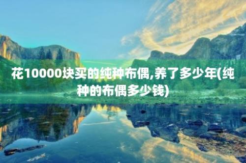 花10000块买的纯种布偶,养了多少年(纯种的布偶多少钱)