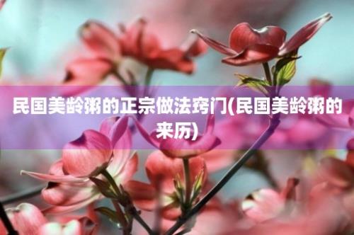 民国美龄粥的正宗做法窍门(民国美龄粥的来历)