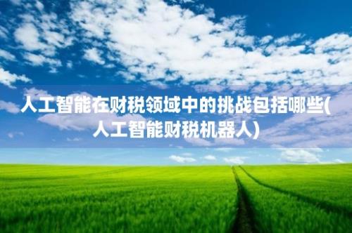 人工智能在财税领域中的挑战包括哪些(人工智能财税机器人)