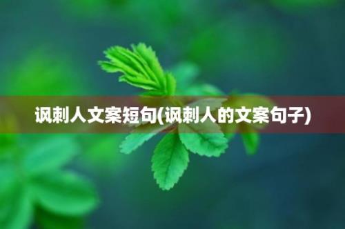 讽刺人文案短句(讽刺人的文案句子)