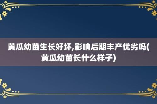 黄瓜幼苗生长好坏,影响后期丰产优劣吗(黄瓜幼苗长什么样子)