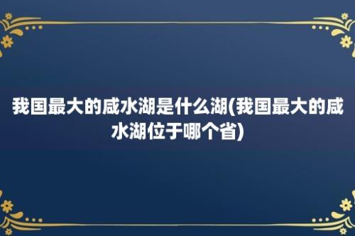 我国最大的咸水湖是什么湖(我国最大的咸水湖位于哪个省)