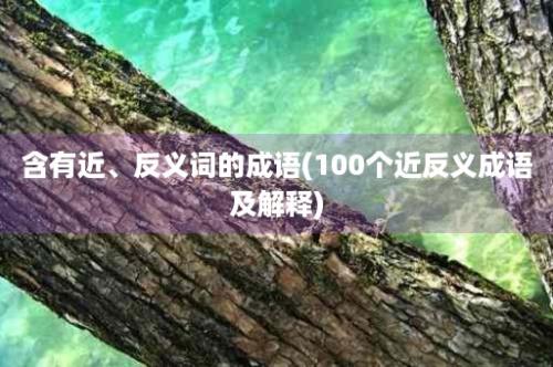 含有近、反义词的成语(100个近反义成语及解释)