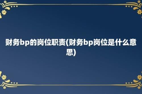 财务bp的岗位职责(财务bp岗位是什么意思)