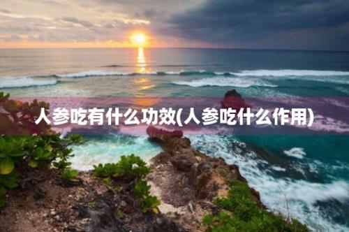 人参吃有什么功效(人参吃什么作用)