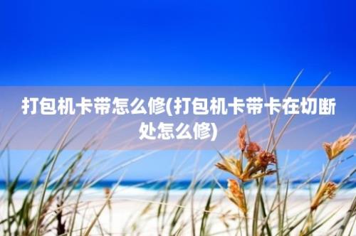 打包机卡带怎么修(打包机卡带卡在切断处怎么修)