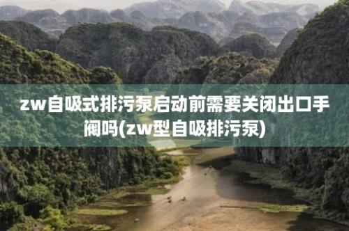 zw自吸式排污泵启动前需要关闭出口手阀吗(zw型自吸排污泵)