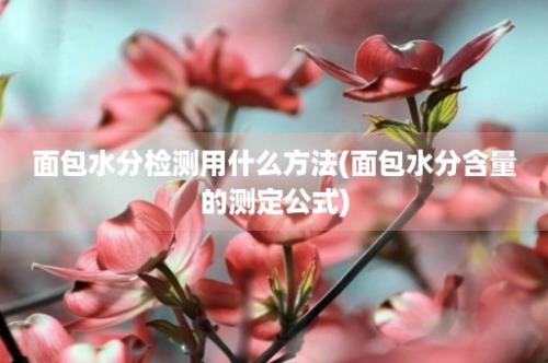 面包水分检测用什么方法(面包水分含量的测定公式)