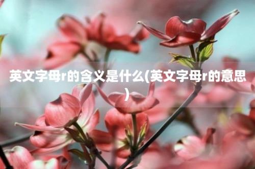 英文字母r的含义是什么(英文字母r的意思)