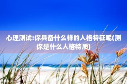 心理测试:你具备什么样的人格特征呢(测你是什么人格特质)