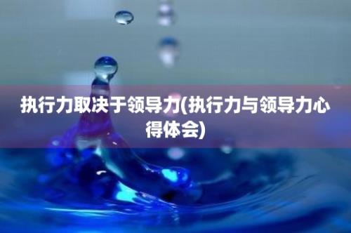 执行力取决于领导力(执行力与领导力心得体会)