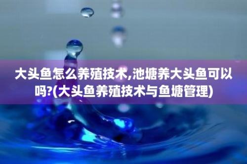 大头鱼怎么养殖技术,池塘养大头鱼可以吗?(大头鱼养殖技术与鱼塘管理)