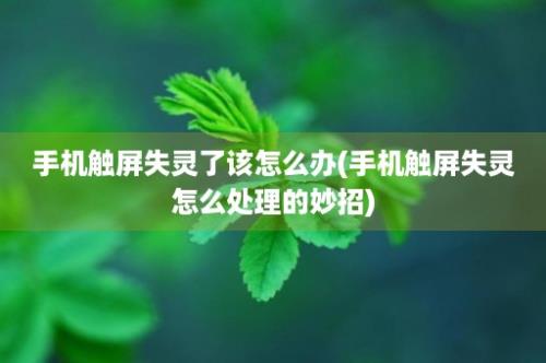 手机触屏失灵了该怎么办(手机触屏失灵怎么处理的妙招)