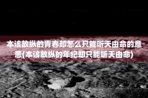 本该放纵的青春却怎么只能听天由命的意思(本该放纵的年纪却只能听天由命)