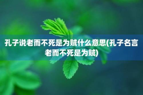 孔子说老而不死是为贼什么意思(孔子名言老而不死是为贼)