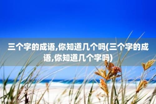 三个字的成语,你知道几个吗(三个字的成语,你知道几个字吗)