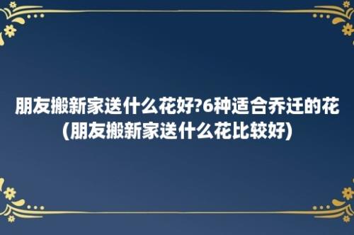 朋友搬新家送什么花好?6种适合乔迁的花(朋友搬新家送什么花比较好)