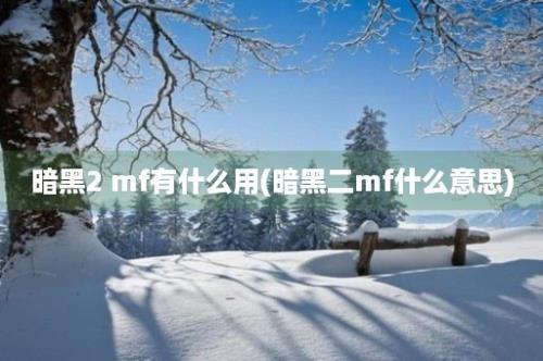 暗黑2 mf有什么用(暗黑二mf什么意思)