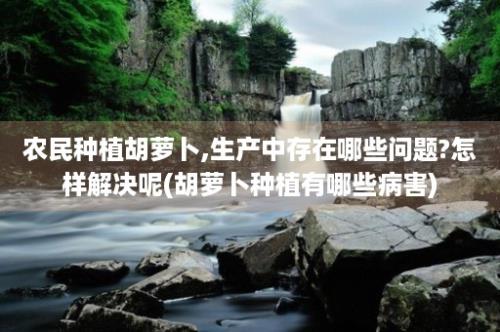 农民种植胡萝卜,生产中存在哪些问题?怎样解决呢(胡萝卜种植有哪些病害)