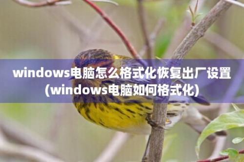 windows电脑怎么格式化恢复出厂设置(windows电脑如何格式化)