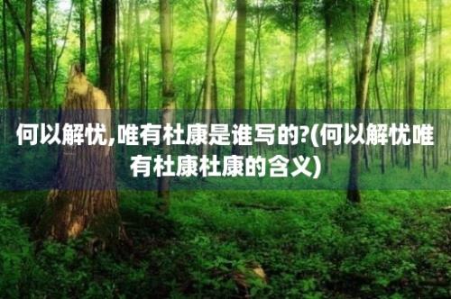 何以解忧,唯有杜康是谁写的?(何以解忧唯有杜康杜康的含义)