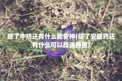 除了牛奶还有什么能安神(除了安眠药还有什么可以改善睡眠)